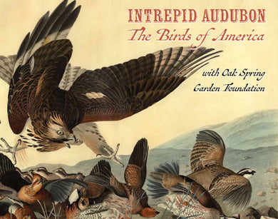 Intrepid Audubon: The Birds of America Catalogue